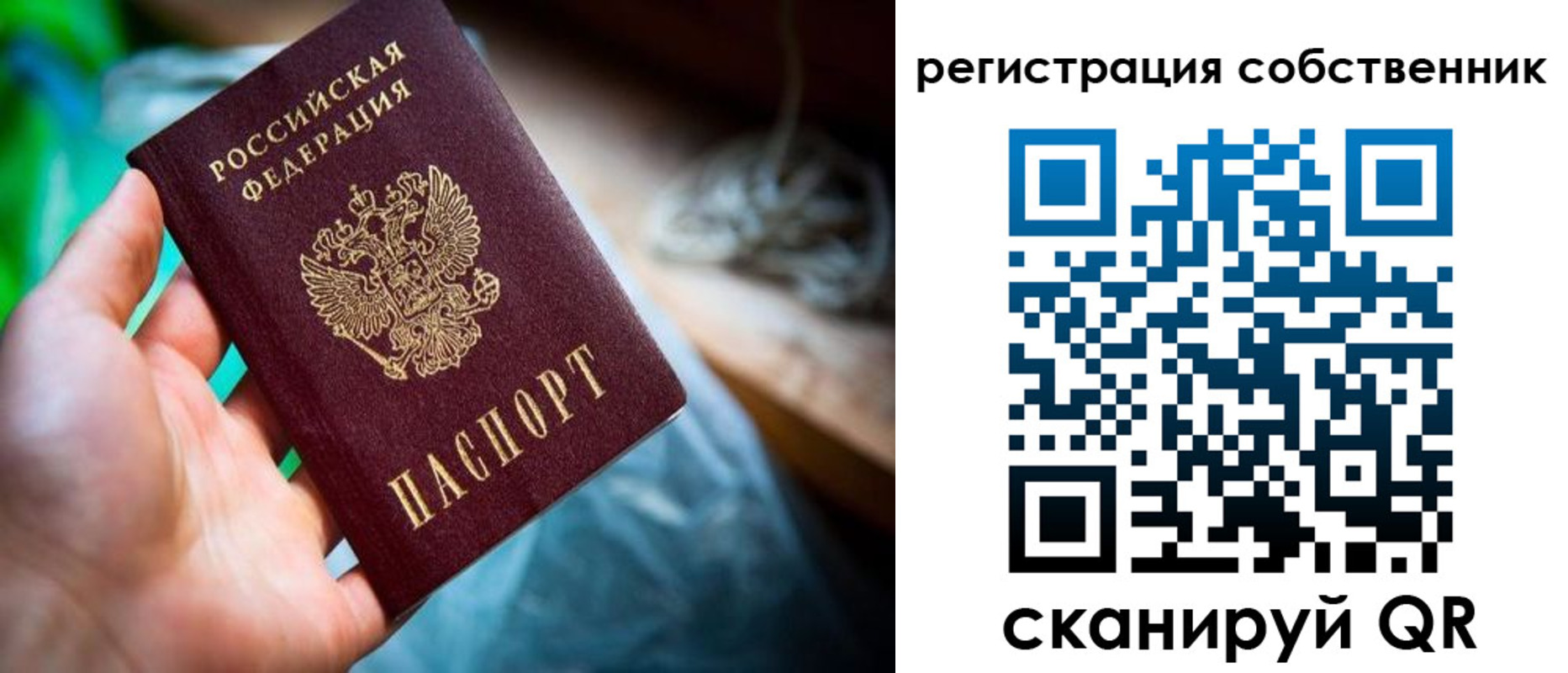 прописка гарантия в Полярных Зорях